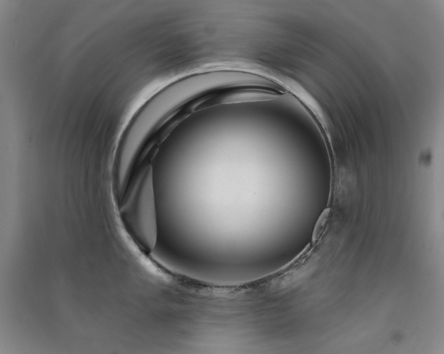 X0000091511005200708171152
