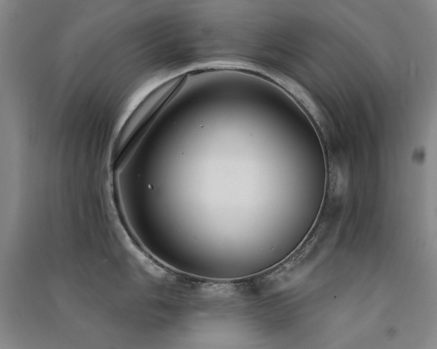 X0000091511006200708171152