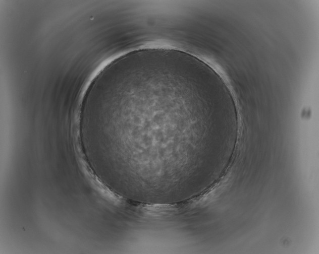 X0000091511008200708171152