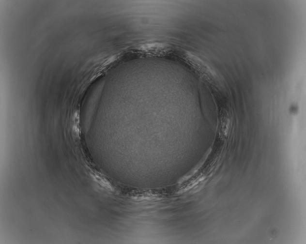X0000091511010200708171151