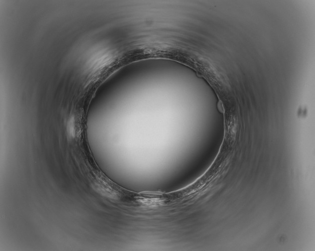 X0000091511012200708171151