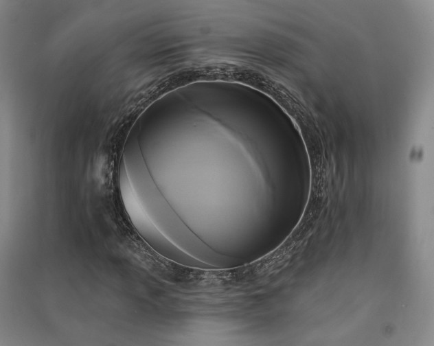 X0000091511013200708171151
