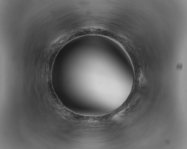 X0000091511014200708171151