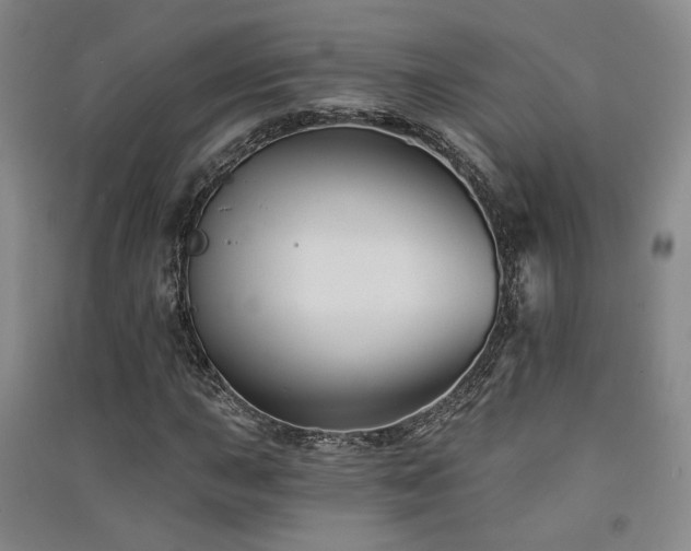 X0000091511015200708171151