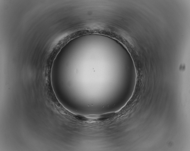 X0000091511016200708171151