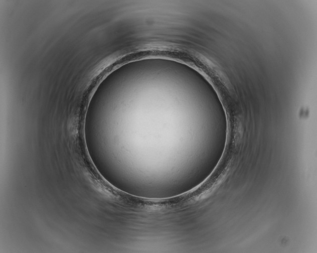 X0000091511017200708171151