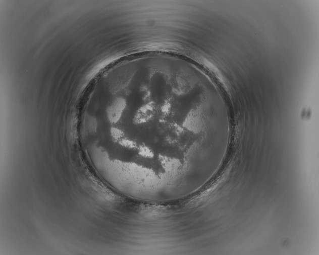 X0000091511019200708171151
