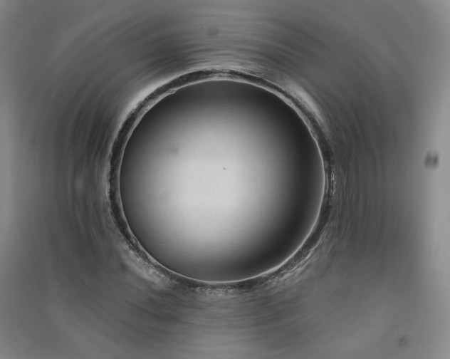 X0000091511020200708171151
