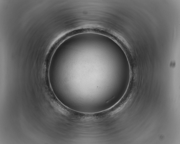 X0000091511021200708171151