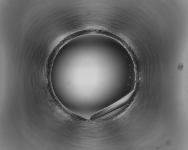 X0000091511022200708171151
