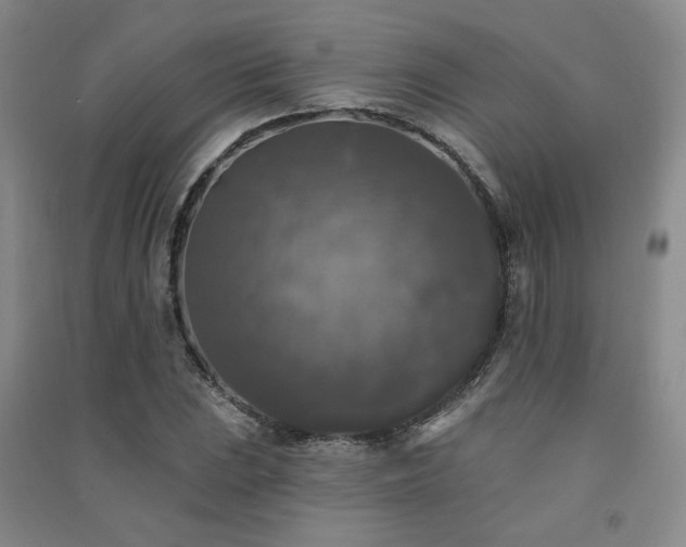 X0000091511023200708171151