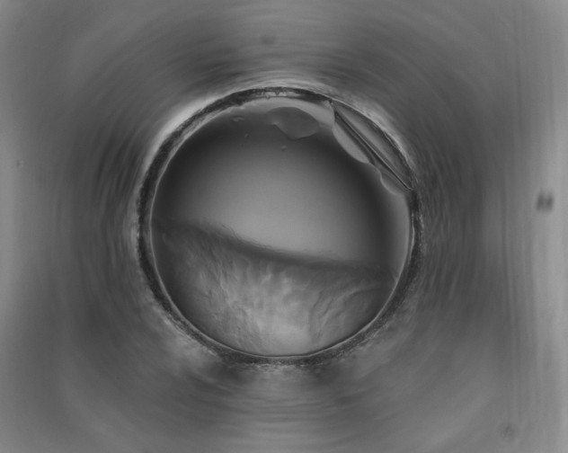 X0000091511024200708171151