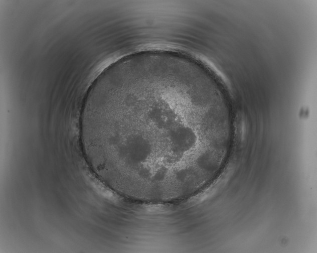 X0000091511025200708171151