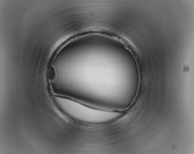 X0000091511026200708171151