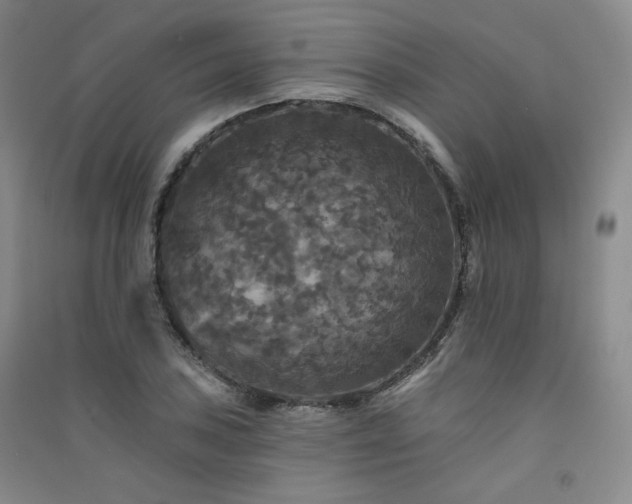 X0000091511027200708171151