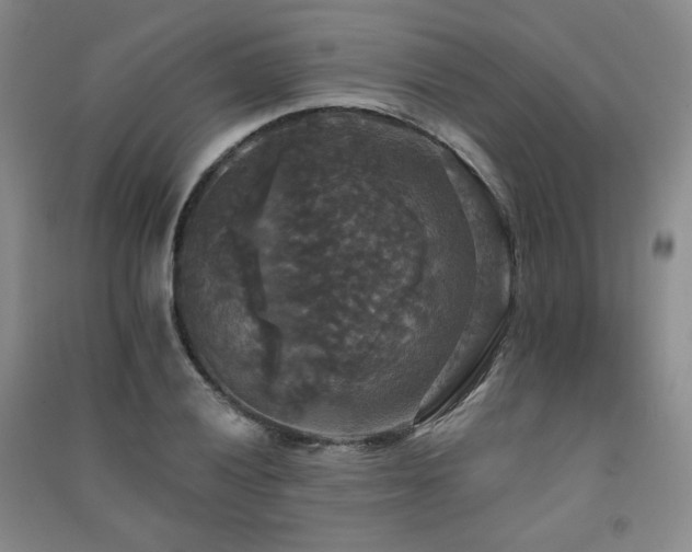 X0000091511028200708171151
