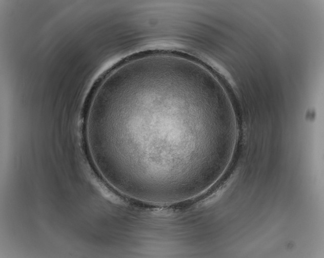 X0000091511029200708171151