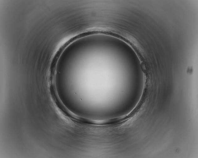 X0000091511030200708171151