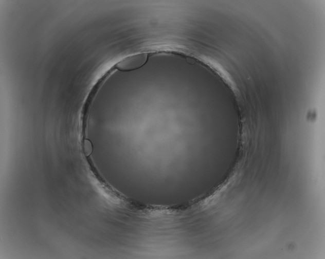 X0000091511031200708171151