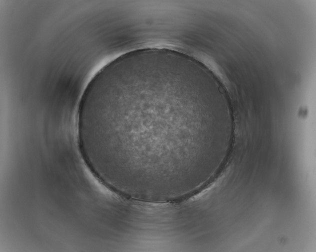 X0000091511032200708171151