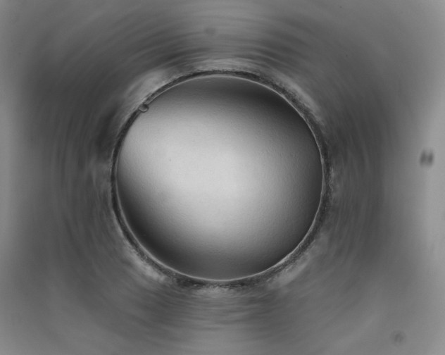 X0000091511033200708171151