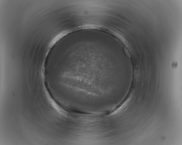 X0000091511034200708171151