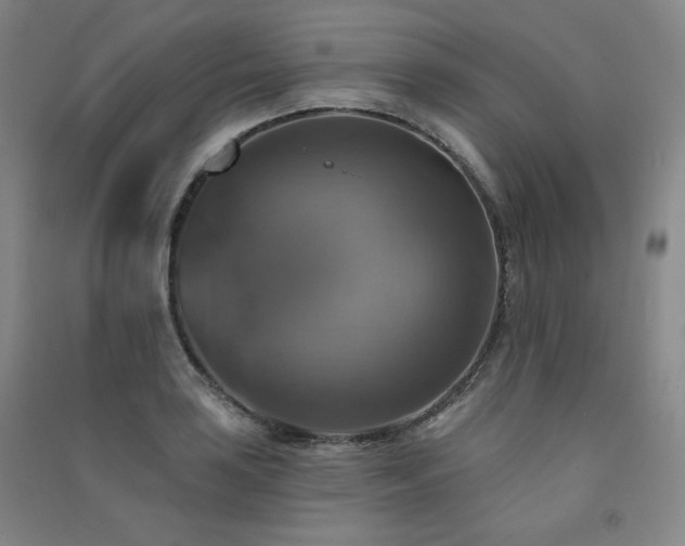 X0000091511035200708171151