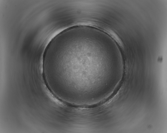 X0000091511036200708171151