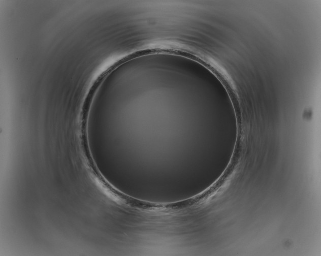X0000091511037200708171151