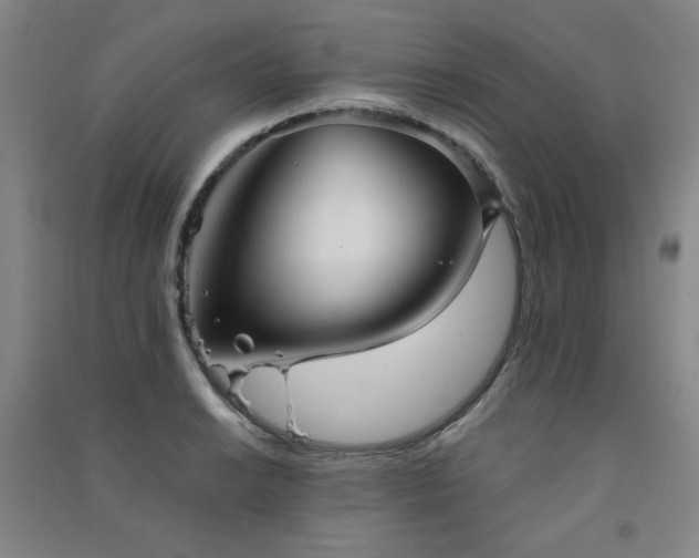 X0000091511038200708171151