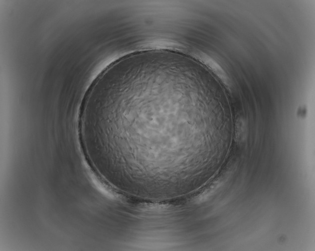 X0000091511039200708171151