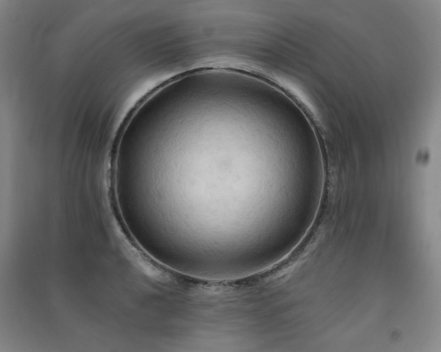 X0000091511040200708171151