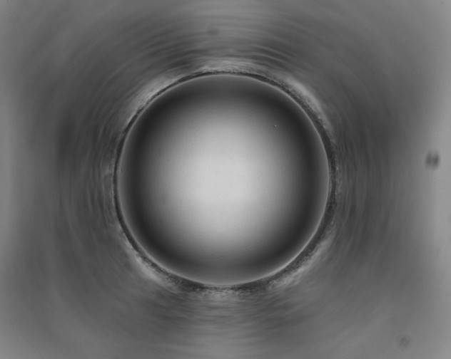 X0000091511041200708171152