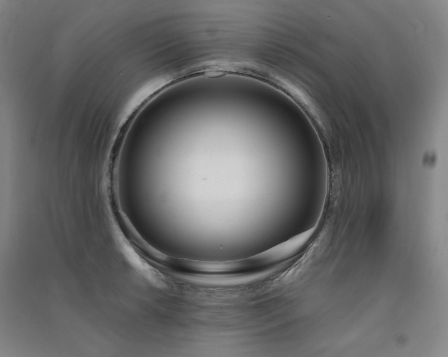 X0000091511042200708171152