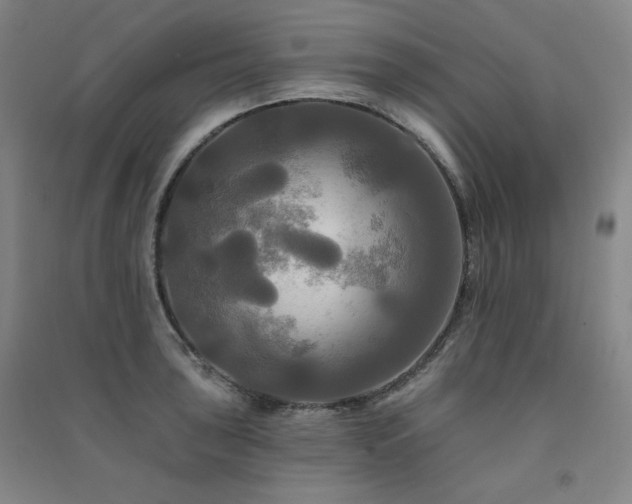 X0000091511043200708171152