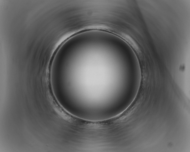 X0000091511044200708171152