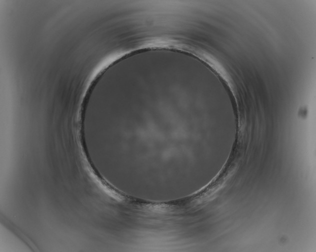 X0000091511045200708171152