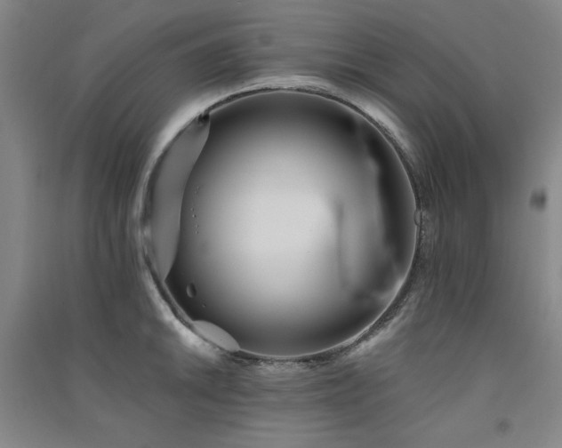 X0000091511046200708171152