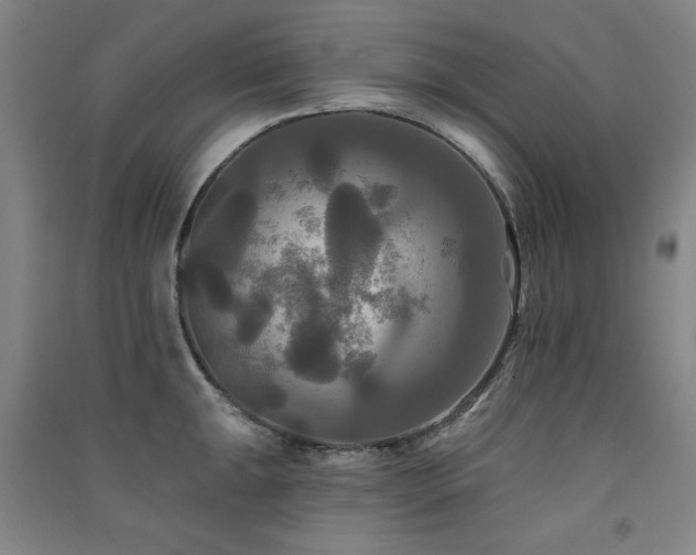 X0000091511047200708171152