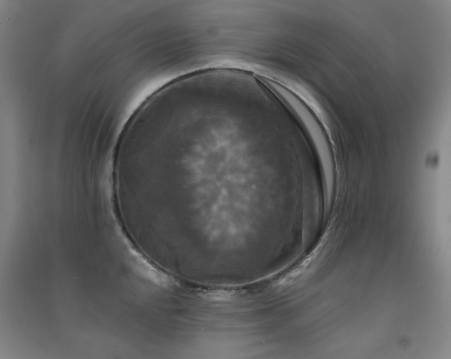 X0000091511048200708171152