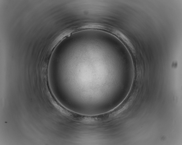 X0000091511049200708171152