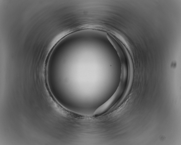X0000091511050200708171152