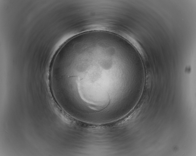 X0000091511051200708171152
