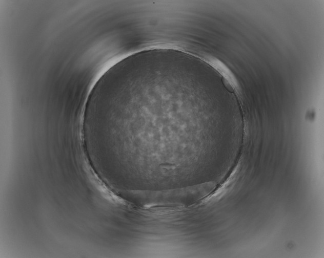 X0000091511052200708171152