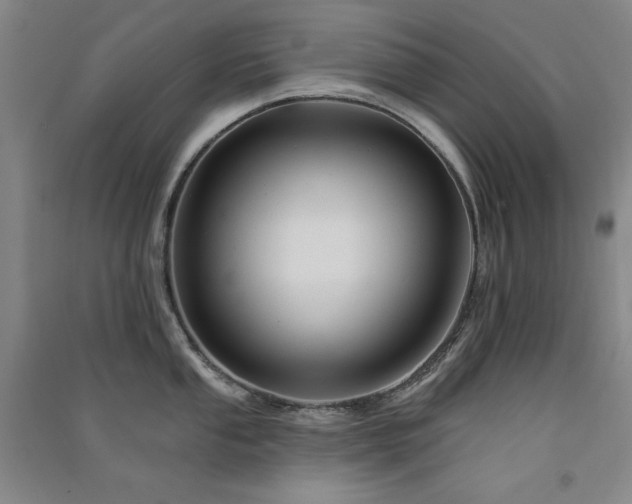 X0000091511053200708171152