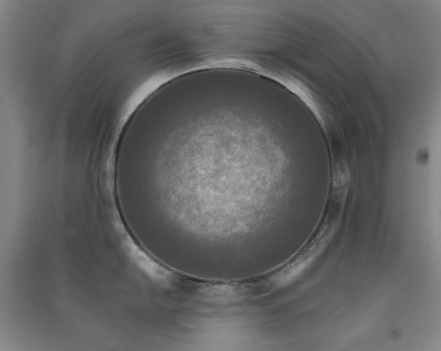 X0000091511054200708171152