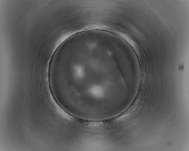X0000091511055200708171152