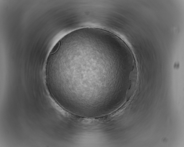 X0000091511056200708171152