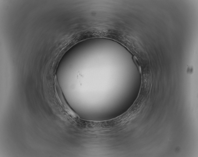 X0000091511057200708171151