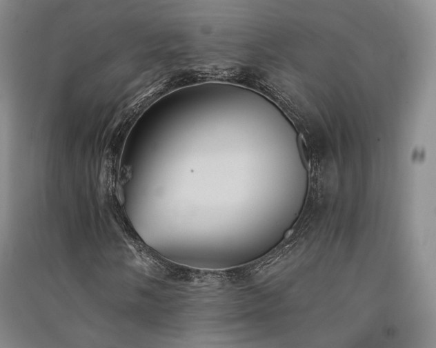 X0000091511058200708171151